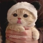 زین رضا کا اوتار